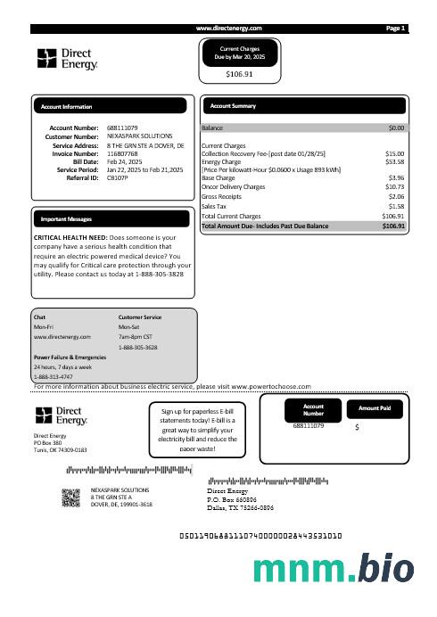 USA Texas Direct Energy rachunek za usługi komunalne szablon w formacie Word i PDF